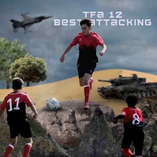 Tfa 12 best attackibg (5)